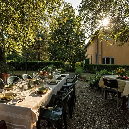 With Pool In The Vineyards In Lucca